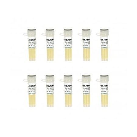 Zymo Research XJa(DE3) Autolysis, 10x100uml Mix & Go competent cells and 1ml 500X L-Arabinose ZT3031